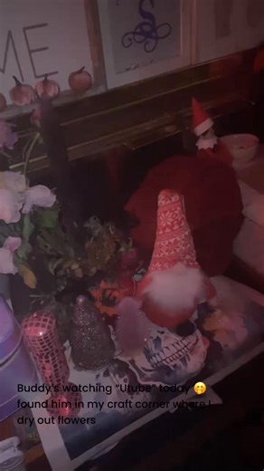 Trysten Stephenson on Instagram: "Buddy the elf, what’s your favorite color? 🤭 #buddytheelf #Youtube #Christmas2025 #christmasspirit"