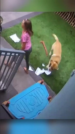 Dog Literally Eats Girl’s Homework — The Oldest Excuse Just Got Real!