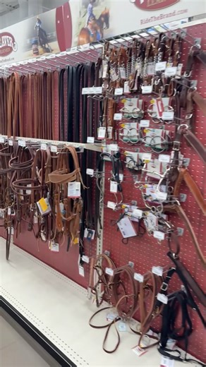 From everyday horse tack to those essentials you didn’t know you needed, Stockdales has you covered. Quality gear, trusted brands, and everything to keep you and your horse ready to ride. | Stockdale's - Paris, TN