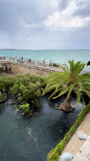 Fonte Aretusa: Leggenda e Bellezza a Ortigia