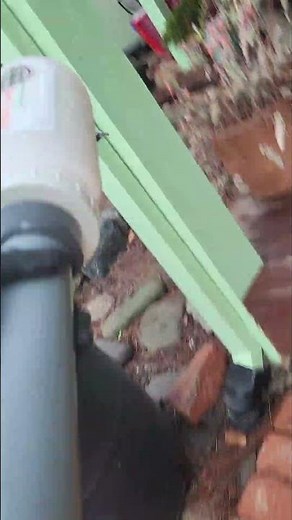Skunk repellent #pestcontrol