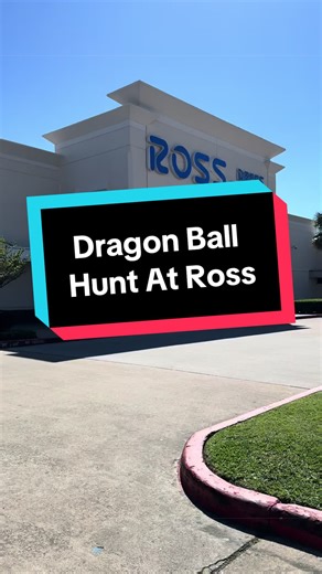 Dragon Ball Hunting at Ross: Epic Finds!