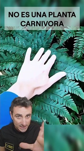 It's not a carnivorous plant. #didyouknow #survival #funfacts