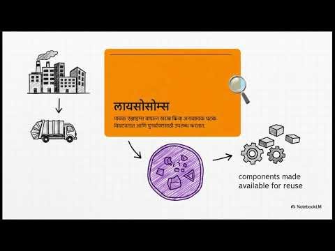 Animal Cell (प्राणी पेशी) | Structure & Functions Explained in Marathi | www.quizeed.in