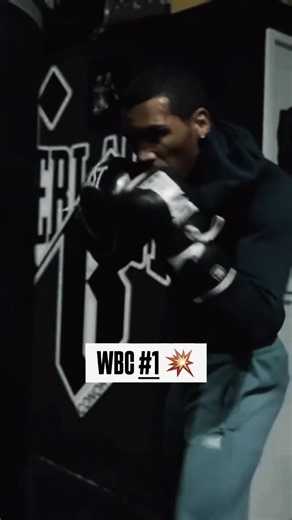 The Rise of a New Boxing Champion