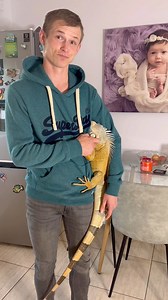 Adorable 🥰 | Lizardthebuddy