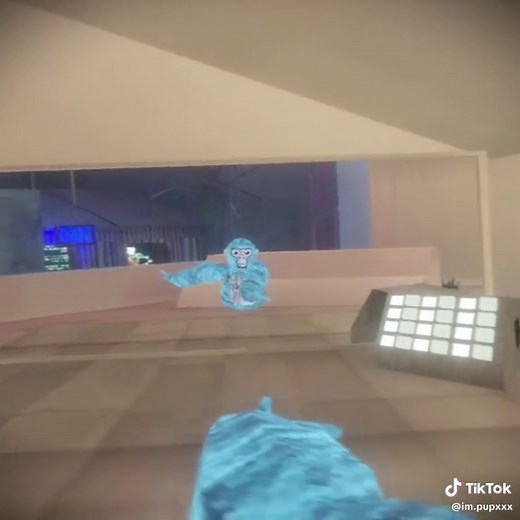 Long Awaited Run Tutorial for Gorilla Tag