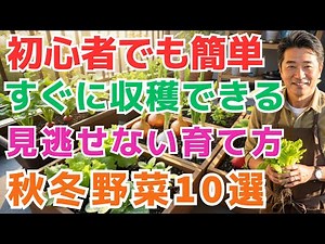 家庭菜園は本当に簡単！初心者でも失敗なしの秋冬野菜10選【プランターですぐ始めよう】
