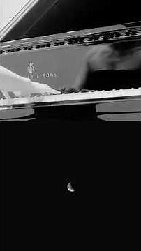 Debussy – Clair de Lune on a Steinway & Sons | Piano