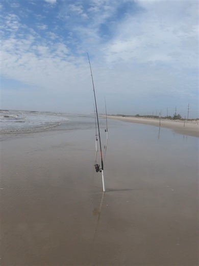 Not a bad red drum! Bait and tackle available surffishingco.com #beach #surf #fishing #fishtaffy #surffishing #beachfishing