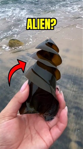 TOP 5 WEIRDEST ANIMAL EGGS IN THE WORLD😱