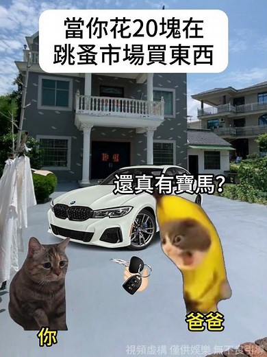 【😺CatDramaCorner】When you spend 20 dollars at a flea market #cat #catmememini-drama #00s #shorts ...