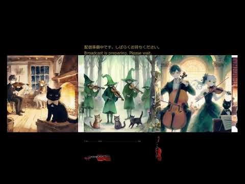 🎻ヴァイオリン練習🎻 Violin Practice🎻 20260312