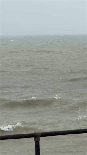 4K views · 31 reactions | ️ Lovely out here this morning  | Deep Blue Charters | Facebook