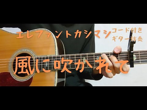 【ギターコード付き】エレファントカシマシ/風に吹かれて【アコギ弾いてみた】