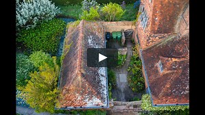 Grow Fruit & Vegetables in Pots