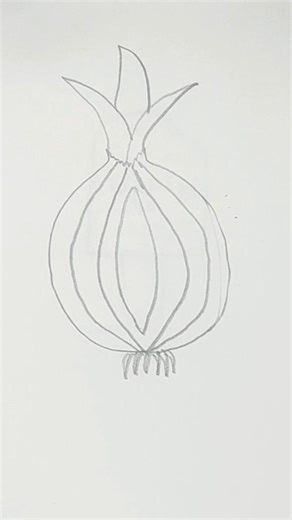 easy onion drawing video | how to draw an onion 🧅 step by step tutorial