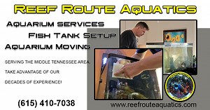 Complete, Easy Aquarium Moving With 5 Star Reviews!