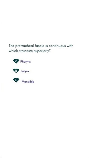 The pretracheal fascia is continuous with which structure superiorly #medicalexamguide