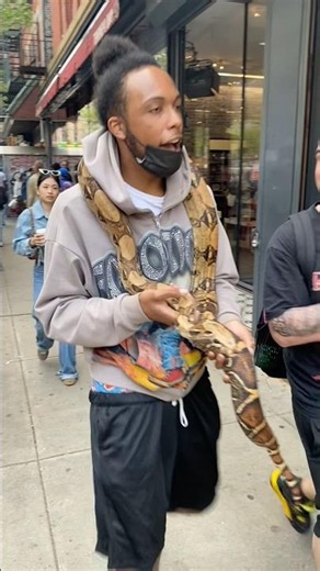 5 Deadly Venoms, Snake Style at the ConBud 420 Block Party