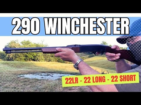 Tailgate Shoot - Winchester 290