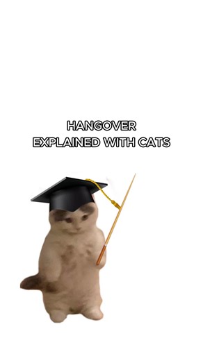 Funny Cat Video: Kitty's Hangover Experience