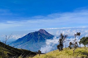 Menyimak Teks 'Anak-Anak Merapi', Bahasa Indonesia Kelas 4 SD Tema 6 | Kids