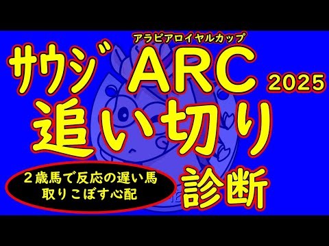 Saudi Arabia Royal Cup 2025 final workout diagnosis! It will be a small race, but horses with goo...