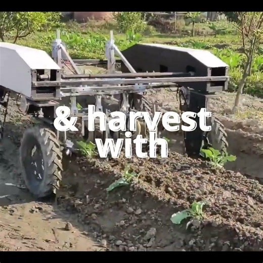 This machine harvests crops without farmers. #ai #pythonessperspective #robotanimals