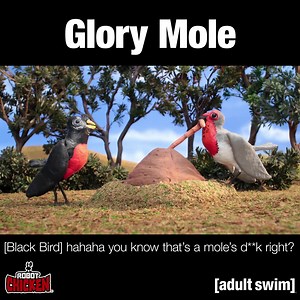 Robot Chicken is available now on All 4 don’t miss Adult Swim Fridays on E4 | Adult Swim UK & Europe