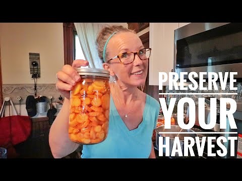 My Top 4 Ways | Preserving Carrot Harvest