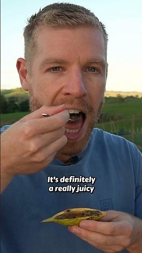 Is this the most delicious Passionfruit species? Red Banana Passionfruit