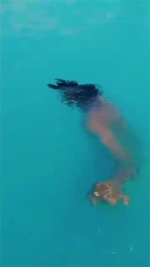 swimming pool maze hi maze