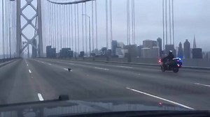 High speed pursuit on the Bay Bridge this morning! One in custody. All are safe! | CHP - San Francisco