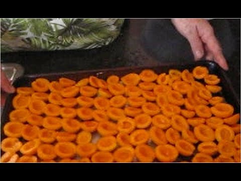 Freeze Dried Apricots
