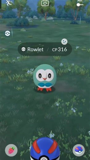 Douglas Quinio on Instagram: "What a cute owl 🤗 #rowlet #shinyrowlet #catchingpokemon #pokemon #pokemongo #pokemonplayer #pokemontrainer #pokemonfan"