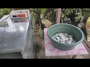 DIY FISH DEHYDRATOR MACHINE