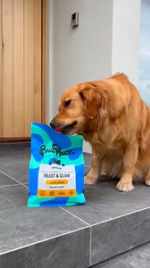 Premium pet food made natural, nutritious, and delicious. Treat them now! 🐶 | Petstock