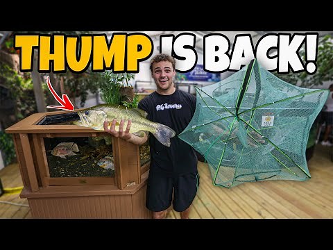 I used FISH TRAPS to Catch NEW AQUARIUM FISH!! (THUMP)