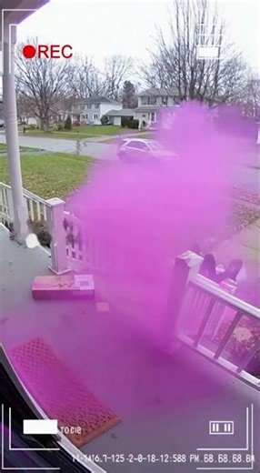 box moments #Comedy #Laugh #Hilarious #Jokes #Memes #Prank #FunnyVideo #LOL