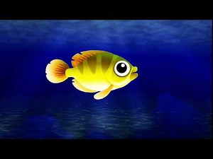 Fish Animation |Fishes|