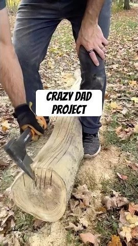 My girls couldn’t believe I built this for them out of a log!