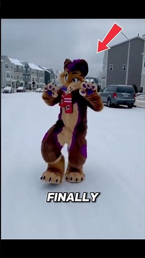What's your fursona? #furry #fursuit #furries #therian