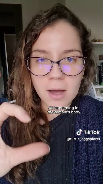 Mysterious Green Sea Turtle Egg Discoveries