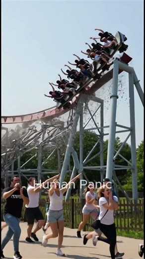 Amusement Park Ride COLLAPSES Suddenly 😱 | #shortsviral #shorts