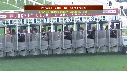 COLD HEART -ALPHA- ganó el Derby paulista en emocionante definición: | STUD & HARAS | Facebook