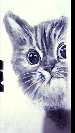 Sketching a Cat's Face: A Short & Sweet Tutorial😺🥰#ytshorts #youtubeshorts #sketch#cat #art#drawing