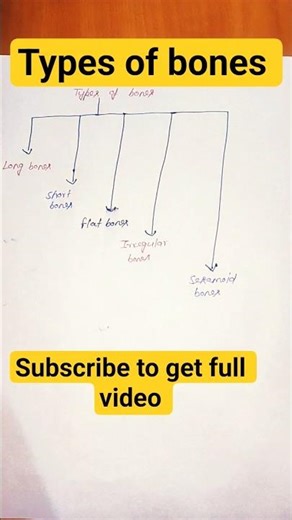 types of bones|हड्डियों के प्रकार|skeleton system #viral #shortsfeed #humanbody#bones #humananatomy