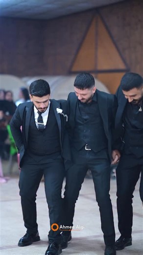 Ahmed Algi on Instagram: "Wedding Reel 💥 Mihemed & Rewşen 💍🤍 Singer: @sef_bozo_official @basil_can_official @hola_melekye 0937504512 @ahmed_algi"