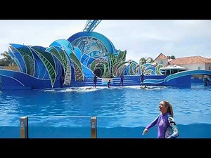 Dolphin Days Special Presentation - Seaworld San Diego - April 14, 2019